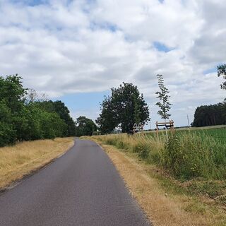 Am Altmarkrundkurs Etappe Havelberg nach Genthin - Elbehangkante bei Schönhausen Damm