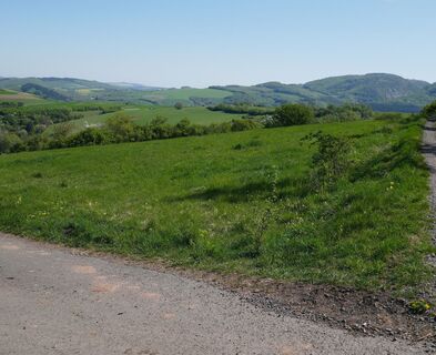 Oberhalb von Horschbach