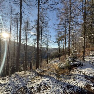 Foto von Steffen Kiesel entlang der Tour