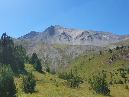 Photo de Steffen Daniel le long du parcours