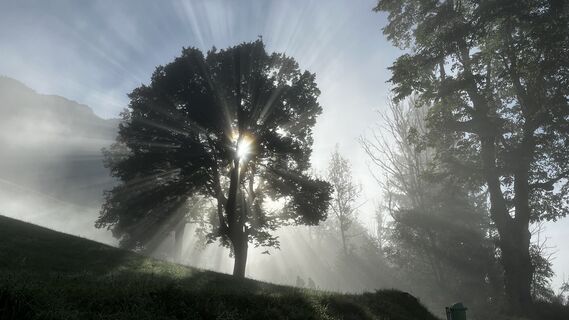 Fotografia z Reiner Schwarz na trase