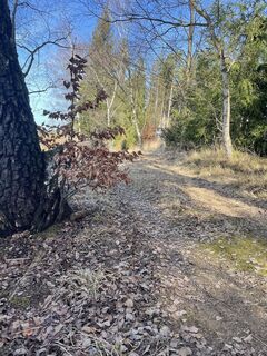 Fotó a Andreas Sandberger honlapról a túra során