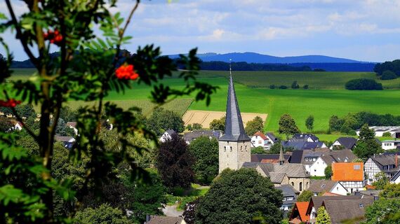 Blick auf den Sorpesee