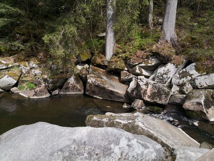 Zdjęcie z Hardy66 wzdłuż trasy