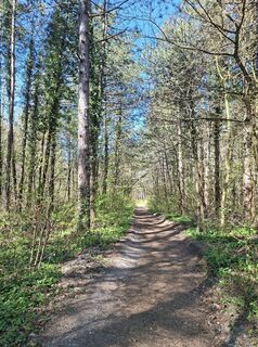 Foto von Henriette Mussger entlang der Tour