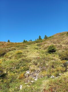 Foto von Christa Grailach entlang der Tour