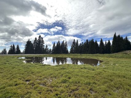Fotografie z Herta Hauswirth na trase