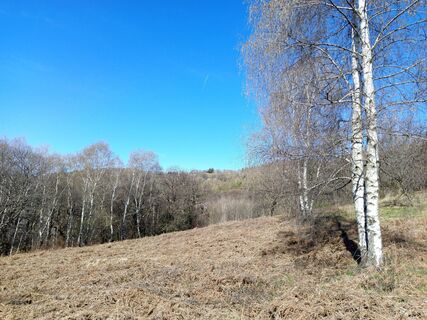 Fotografie z Paolo Paganini na trase