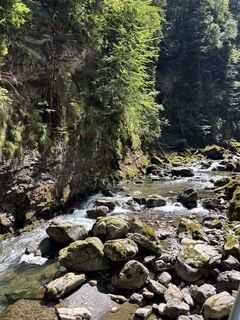 Photo de Lara Gerstberger le long du parcours