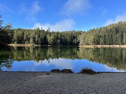 Photo de Denise Grossen le long du parcours