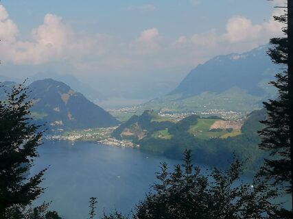 Fotografija s spletne strani luyyy na poti