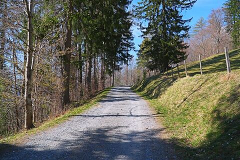 Unterwegs zur Heidialp oberhalb von Maienfeld
