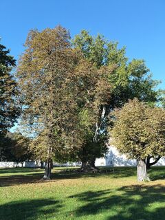 Foto von Poschacher entlang der Tour