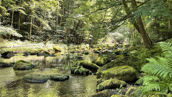Fotografija s spletne strani Ramon Schmidt na poti
