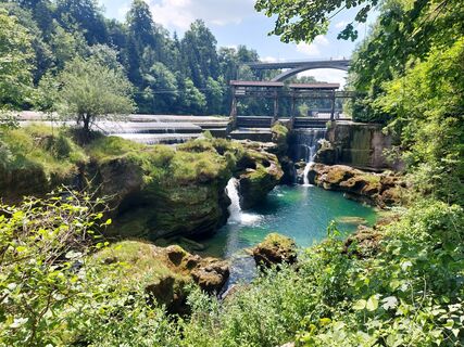 Foto de sibela a lo largo del recorrido