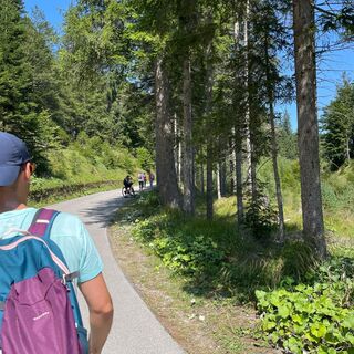 Aufstieg über die Forststraße Val Bartolo