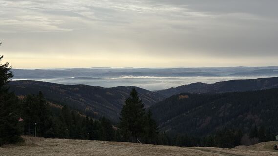 Foto de edefreak a lo largo del recorrido