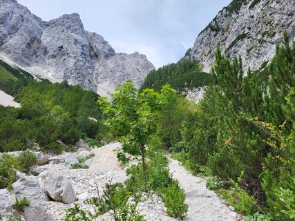 Fotografia z Klara Stepankova na trase