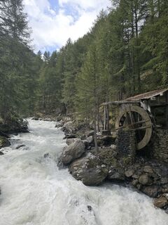 Foto de Grieshofer Gerlinde a lo largo del recorrido