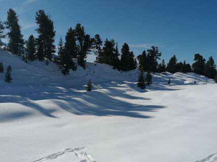 Photo de Sabine Steuxner le long du parcours