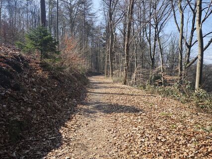 Photo de Björn Heun le long du parcours
