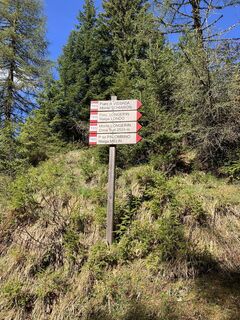 Foto da michelegrassi lungo il tour