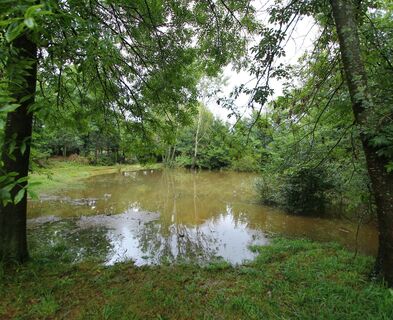 Weg der Bäume St-Maurice-Navacelles