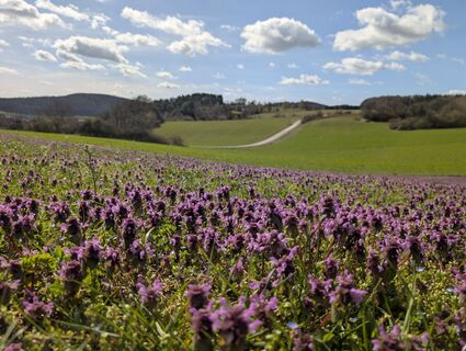 Biererlebnisweg Velburg