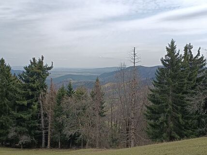Foto von Bergpirat entlang der Tour