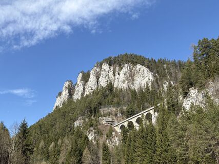 Fotografia z Moonytiger na trase