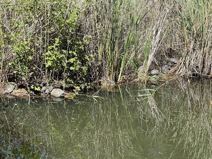 Zdjęcie z JB wzdłuż trasy