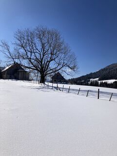 Foto von Christian Hoffelner entlang der Tour