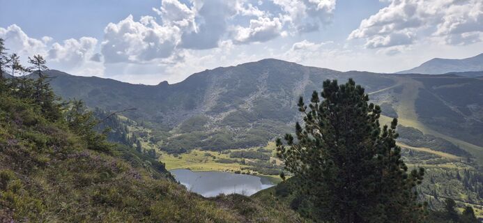 Fotografija s spletne strani Karin Karner 1 na poti