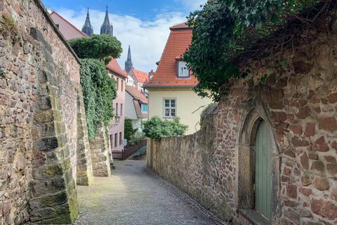 Foto von RALPH DD entlang der Tour