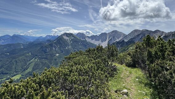 Photo de Brigitta Jencski le long du parcours