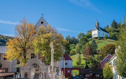 Zemljevid