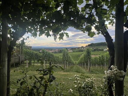 Fotó a Sufandkids honlapról a túra során