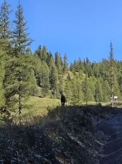 Foto fra Michael Zirrer undervejs på turen
