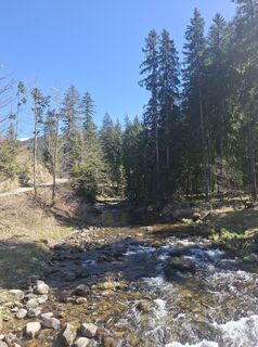 Photo de Jasia307kramek le long du parcours
