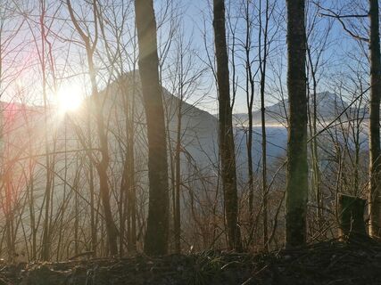 Fotografija s spletne strani luyyy na poti
