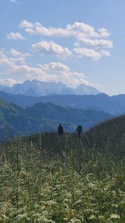 Photo de Evi Strieß le long du parcours