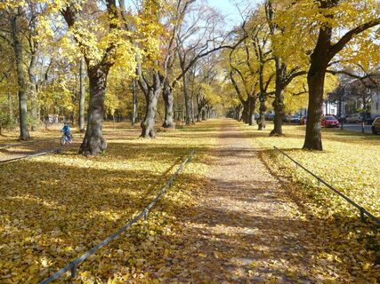 Riddagshausen im Herbst