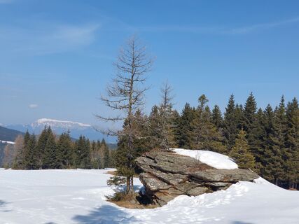 Fotografija s spletne strani Franz Hasenberger na poti
