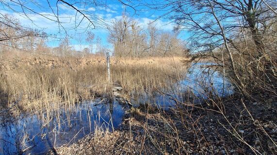 Fotografia z Regina Fleischmann na trase