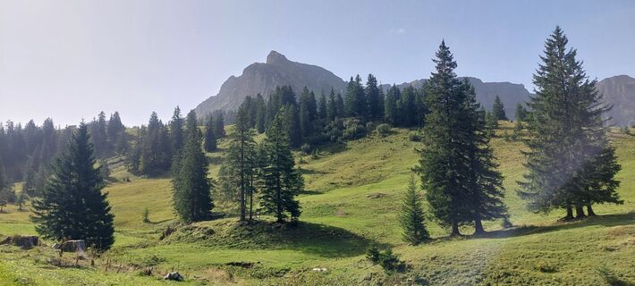 Foto von Anton Gresser entlang der Tour