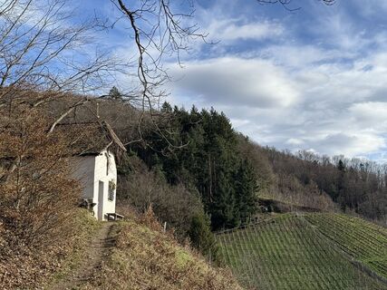 Foto von Philipp Reitze entlang der Tour
