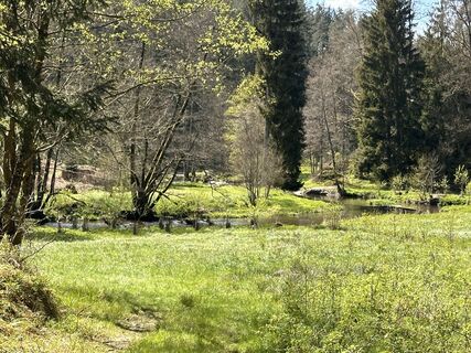Foto de Norbert Herbig a lo largo del recorrido