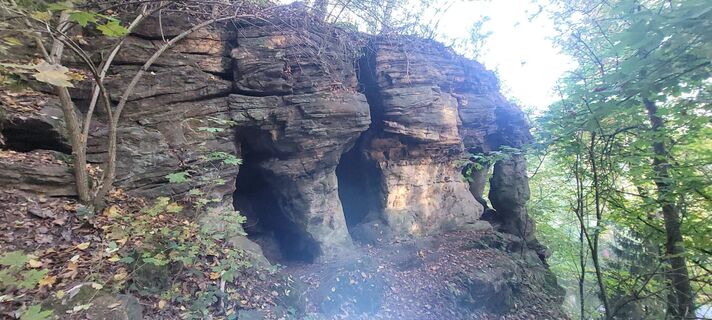 Fotografia z George50 na trase