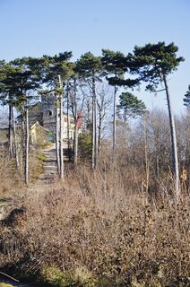 Photo de Kellner Heidi le long du parcours