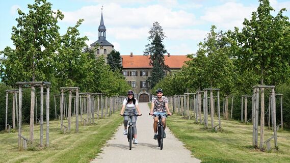 Lindenallee am Rittergut Lucklum